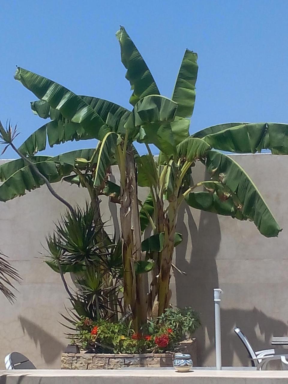 Riad La Villa & Spa El Jadida Exteriör bild