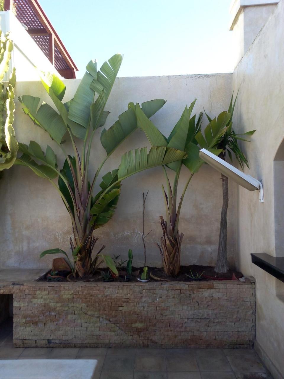 Riad La Villa & Spa El Jadida Exteriör bild